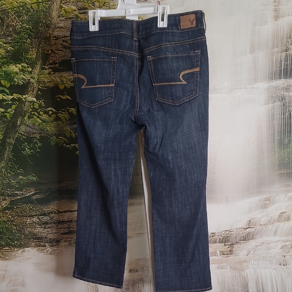 American Eagle Outfitters Womens size 12 Artist Crop Stretch denim blue jeans